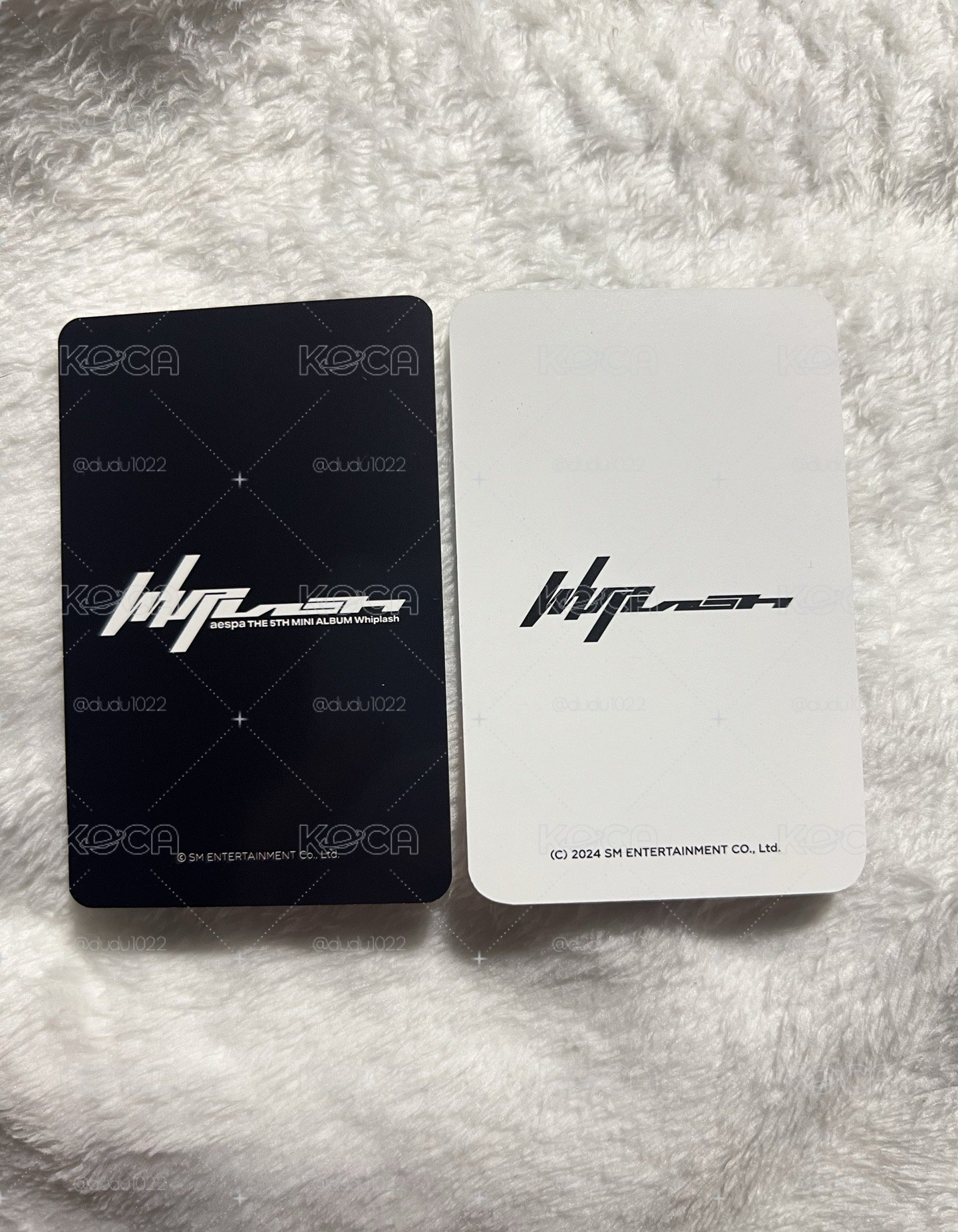 Whiplash k4滿額高馬尾寧