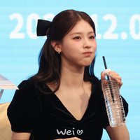 麵麵的狗狗