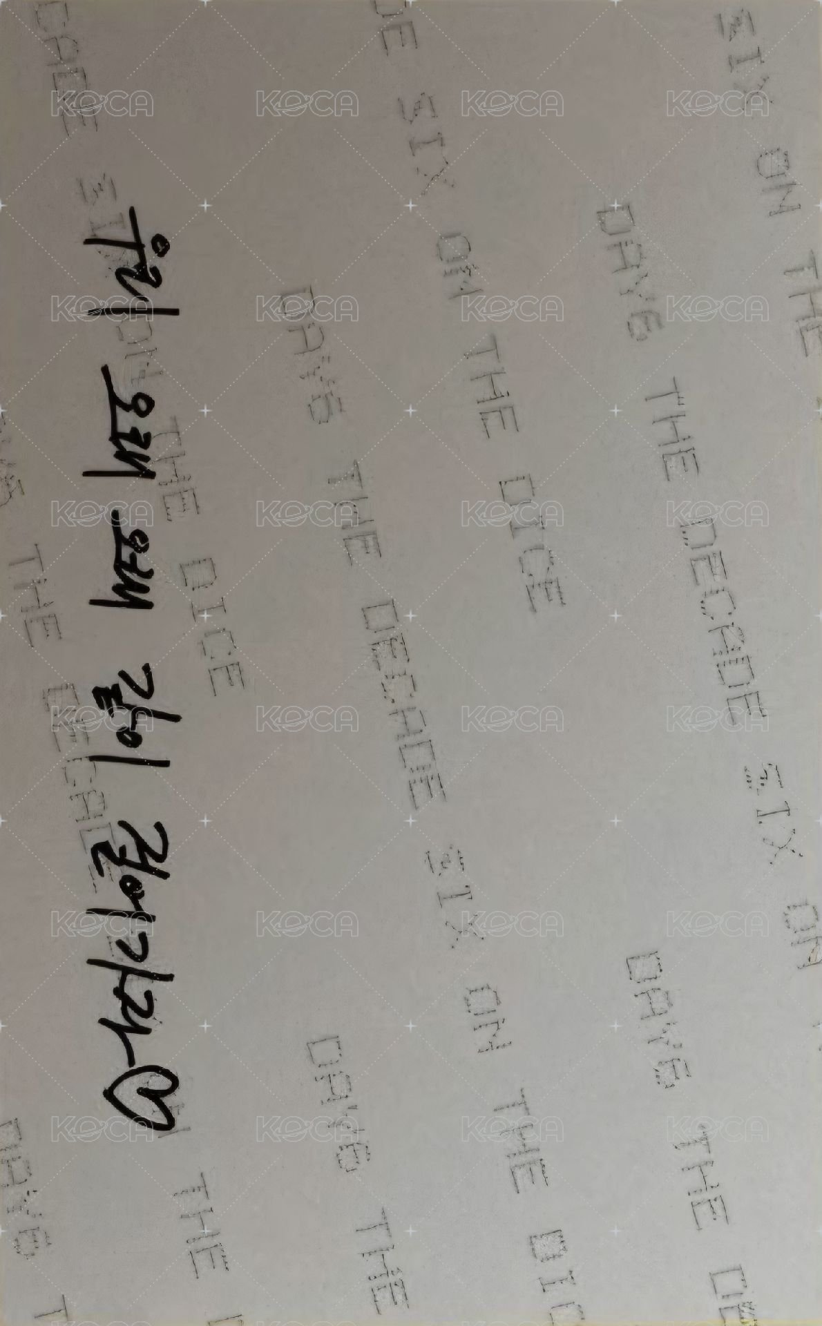 正四 專輯卡 證件照 背面