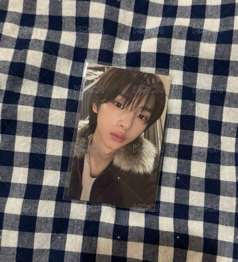 wvs年末