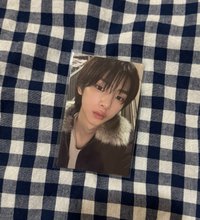 wvs年末