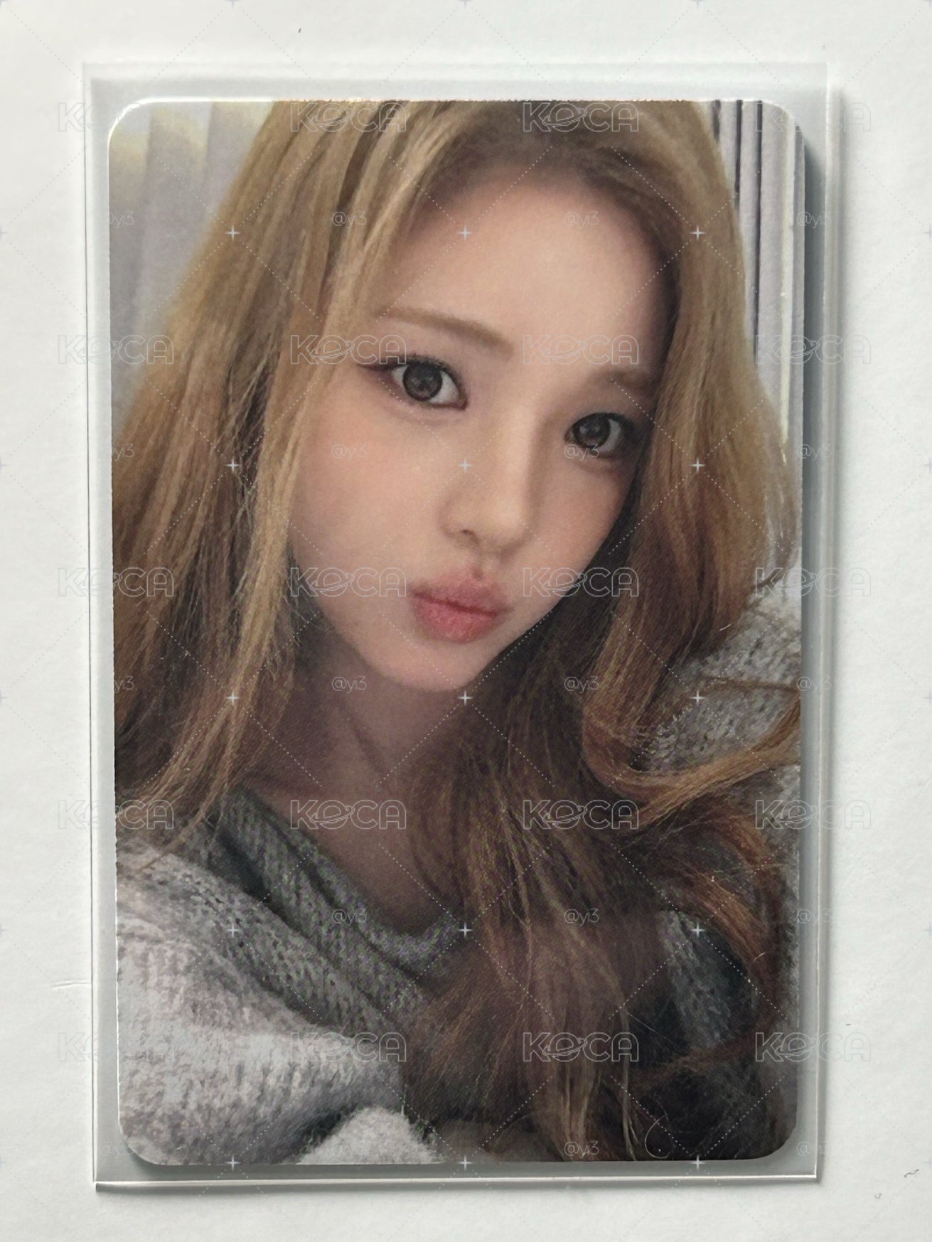 Focus ny2.0 Yuha