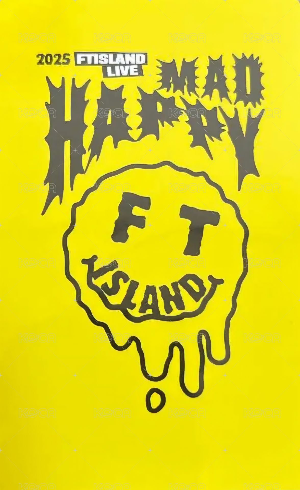 25 MAD HAPPY 入場卡 / 場限卡 DAY1 Zone 背面