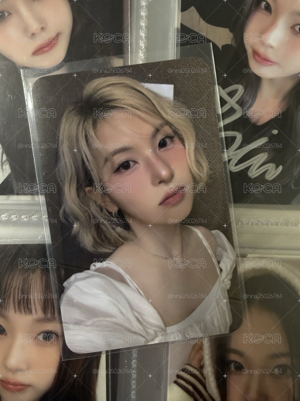 月光裴⭐️