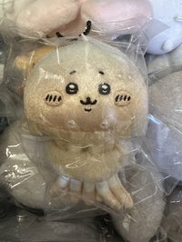 水母