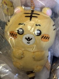 小老虎