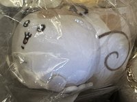 鸚鵡螺