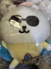 衝浪熊（20cm左右）