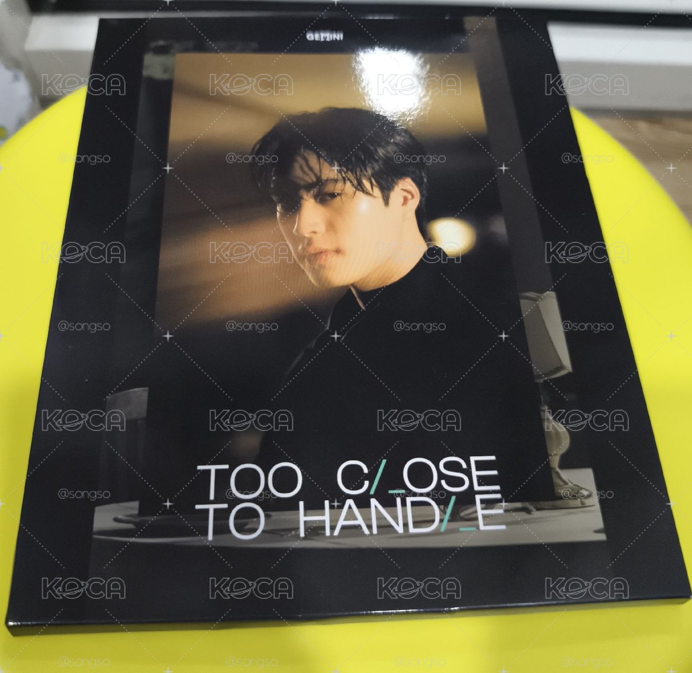 Gemini Too Close To Handle 明信片集