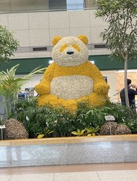 錢包破洞💸