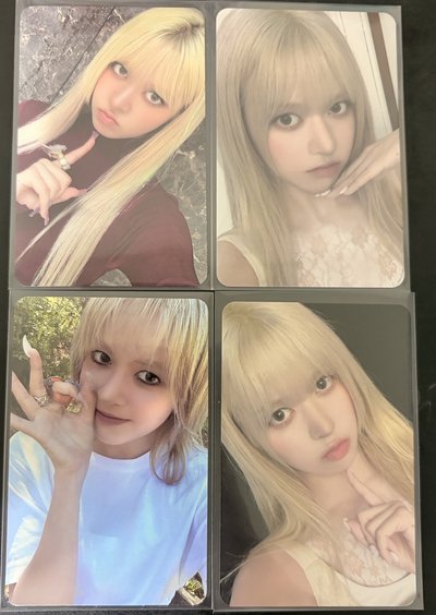 莉卡1