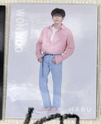 HARU 官拍