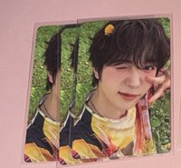 료