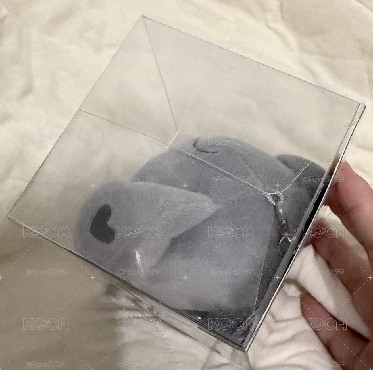 水泥潤/凸咚伊（含卡現貨）
