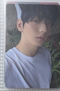 迷七  單封  Angel
