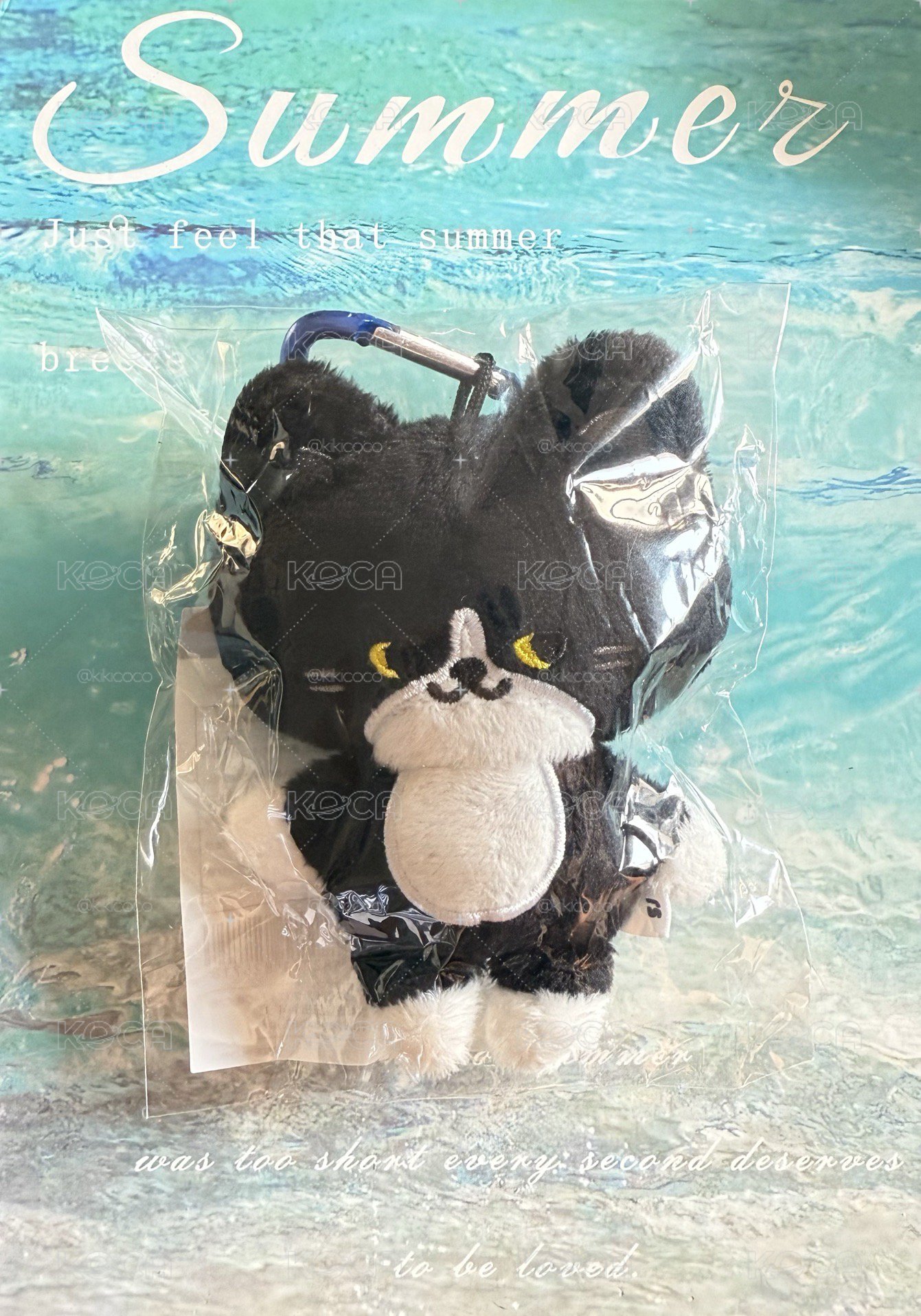 SS10 日週娃 藝聲 coco貓 現貨直出不綁