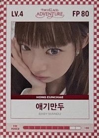 四期會員禮 會員禮卡 FIM CARD LV.4/FP 80