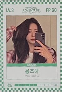 四期會員禮 會員禮卡 FIM CARD LV.3/FP 60