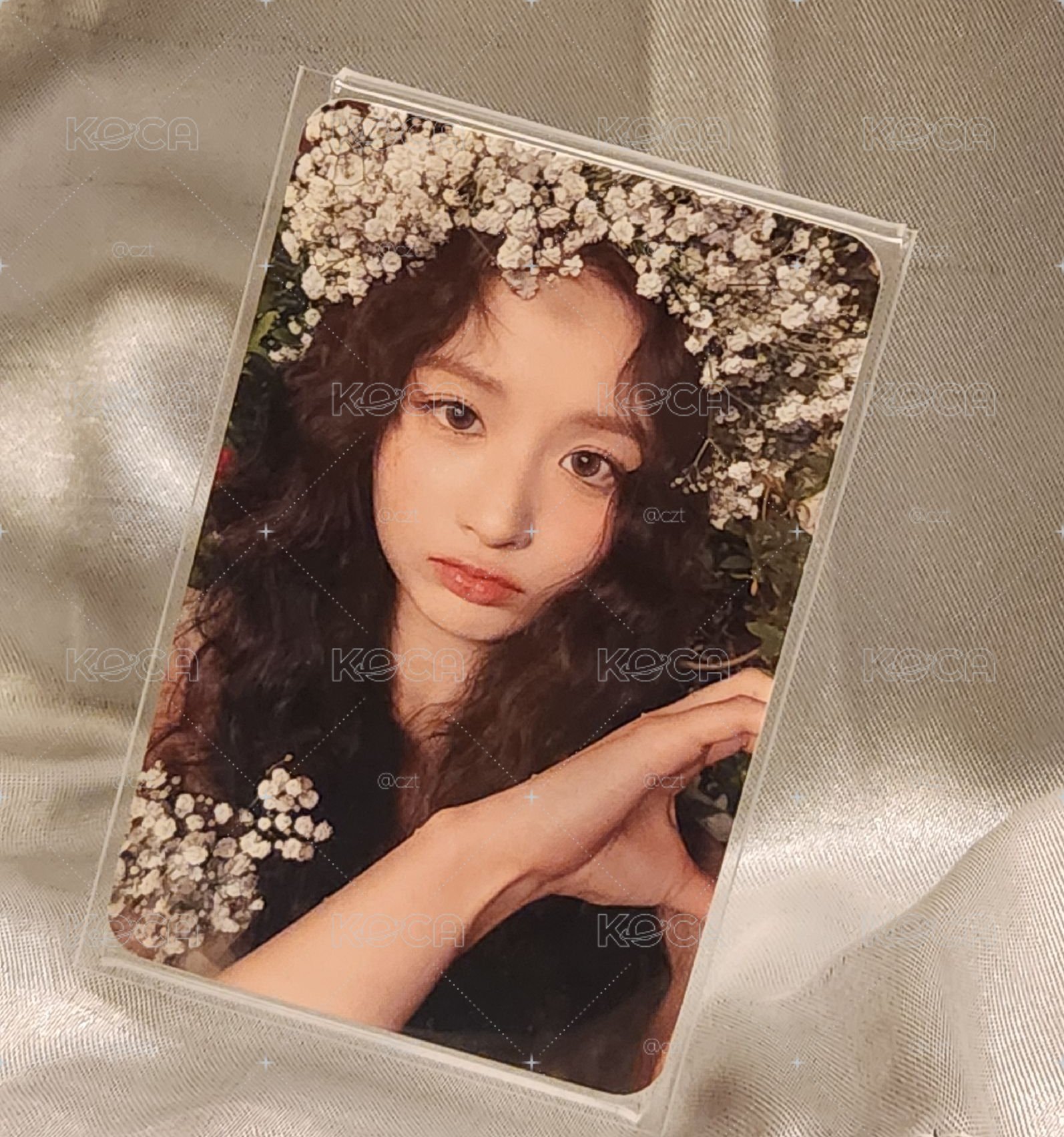 花神薛阿拉丁🌹
