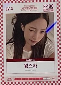 四期會員禮 會員禮卡 FIM CARD LV.4/FP 80