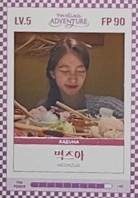 四期會員禮 會員禮卡 FIM CARD LV.5/FP 90