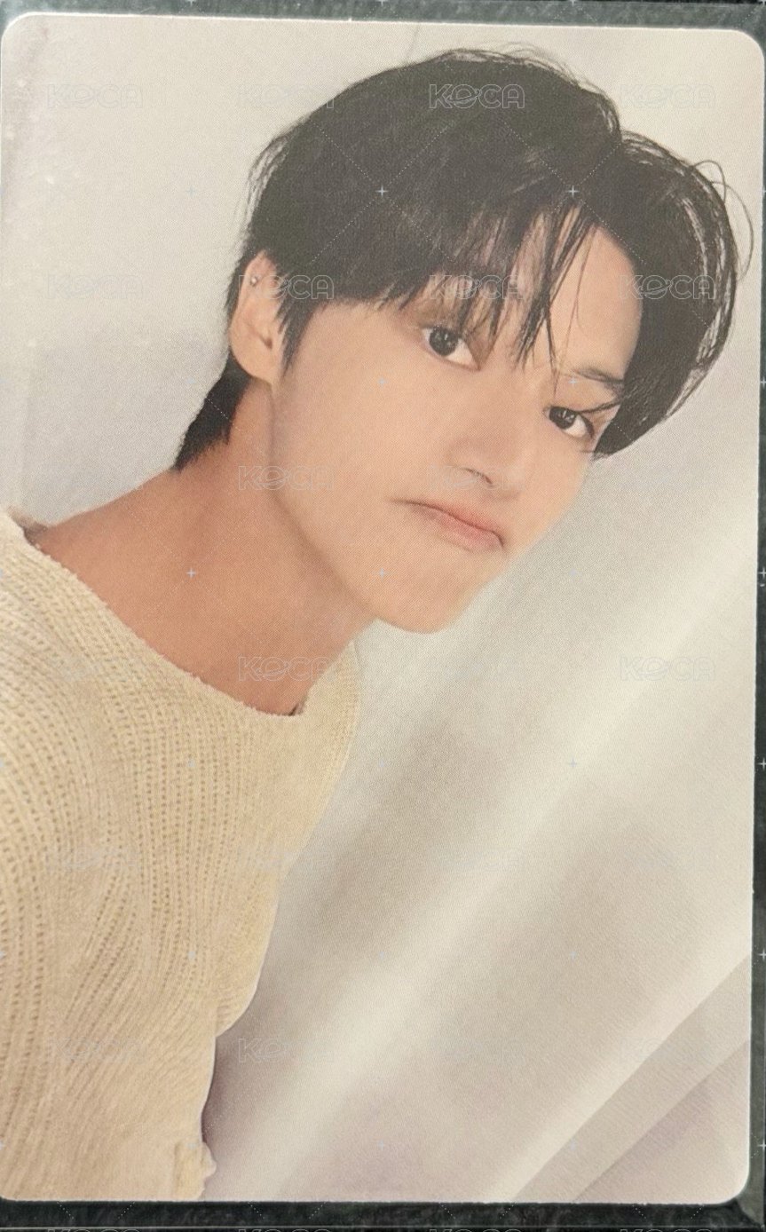 癟嘴白衣小貓