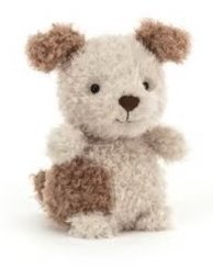 Little Puppy S娃 小狗