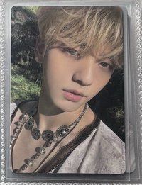 金毛彬（有損）