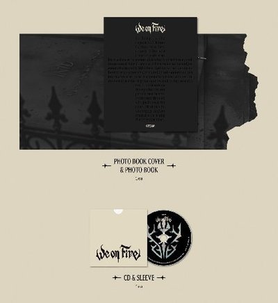 *非現 四月底或五月初到*＆TEAM 限定盤 未拆專