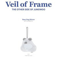 Veil of Frame 鏡子 吊娃 