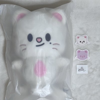 現貨速寄 Stray Kids 6th FM 大娃 後背包（含卡）+第一週第二週印簽紙花