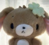 Koko