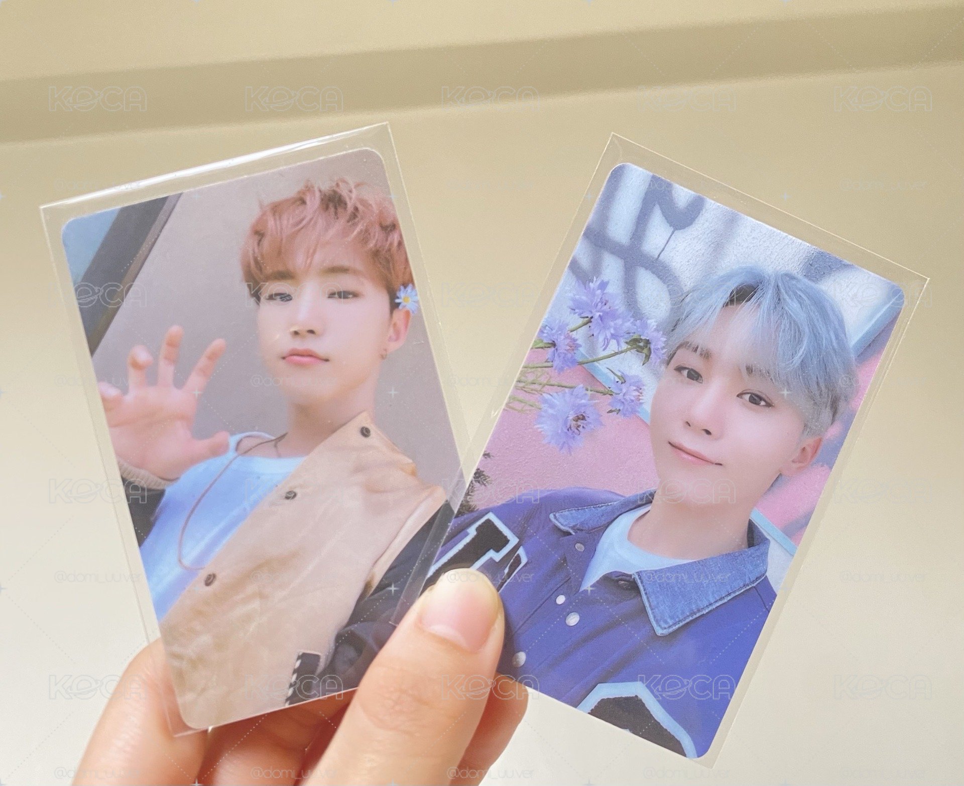 mini8 pst 釜山 2.0 Seventeen Hoshi 權順榮/夫勝寛