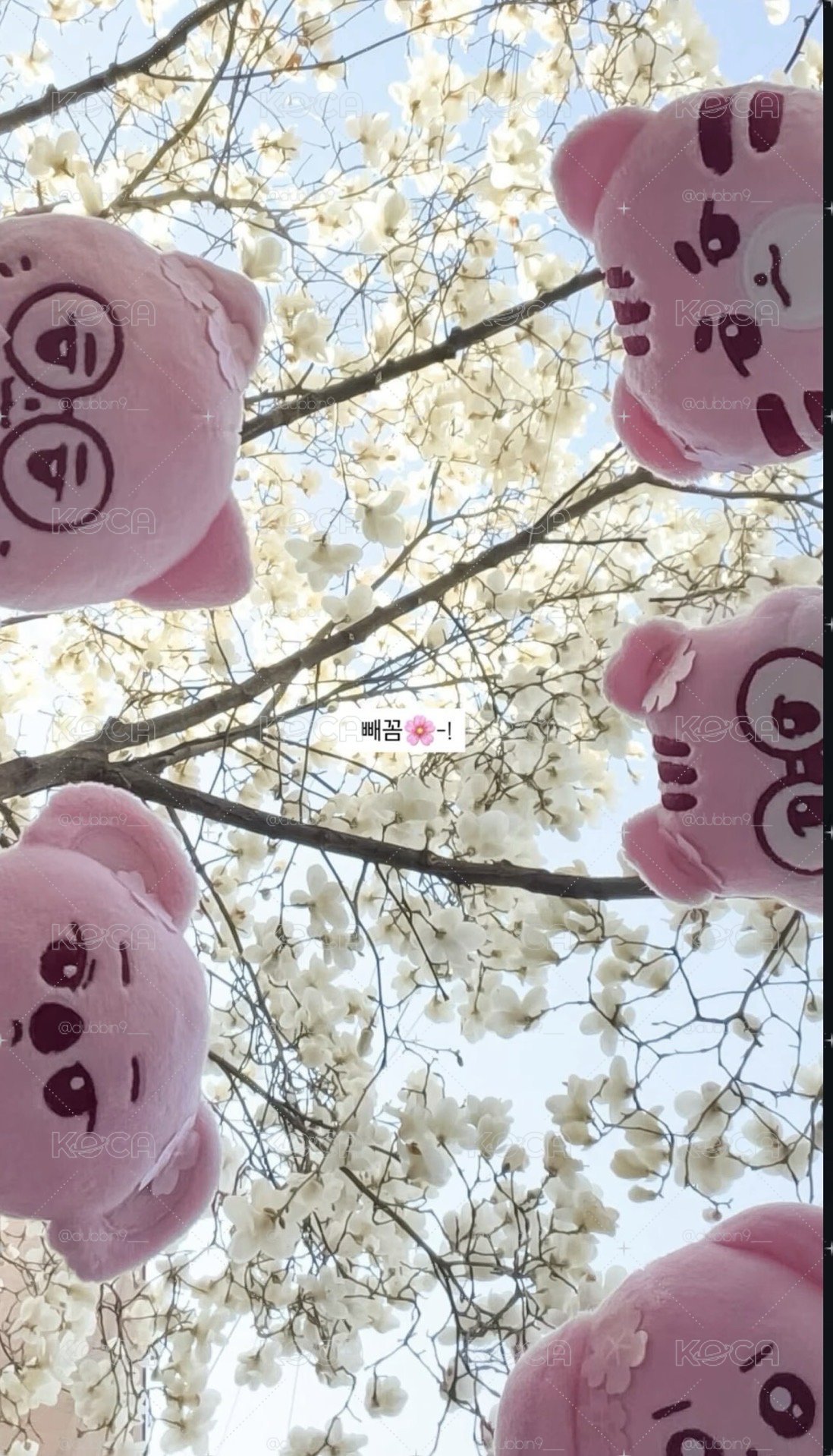 【預購】🌸T1 櫻花系列 Animal Friends 吊飾