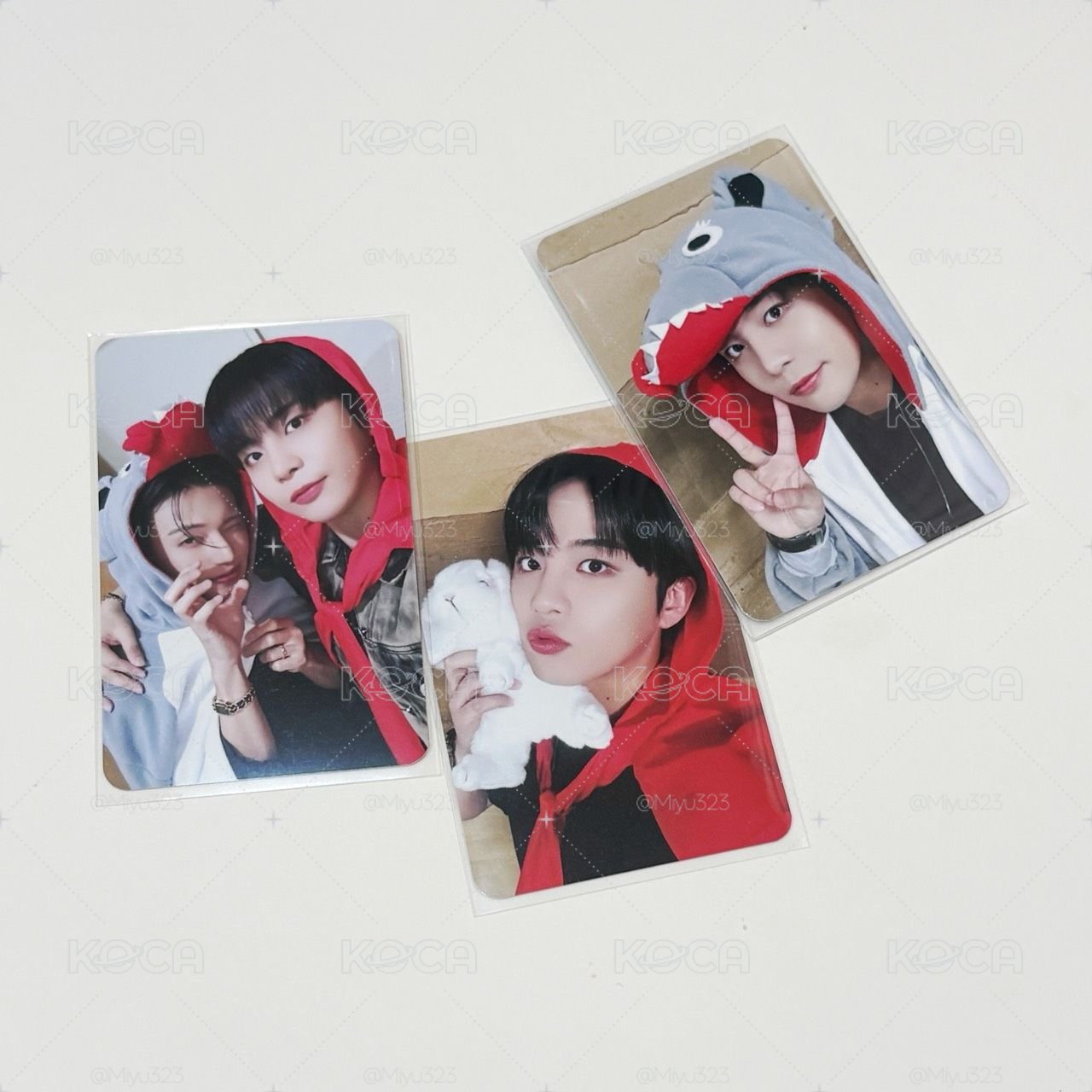 🐻大野狼＆小紅帽＆雙人🐻