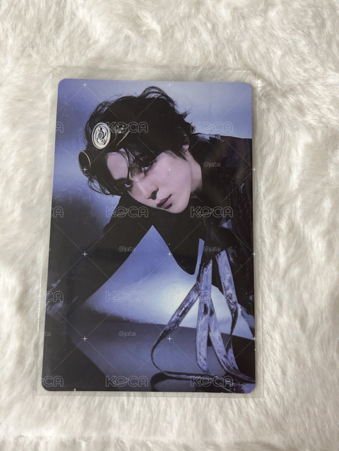 帥小狗