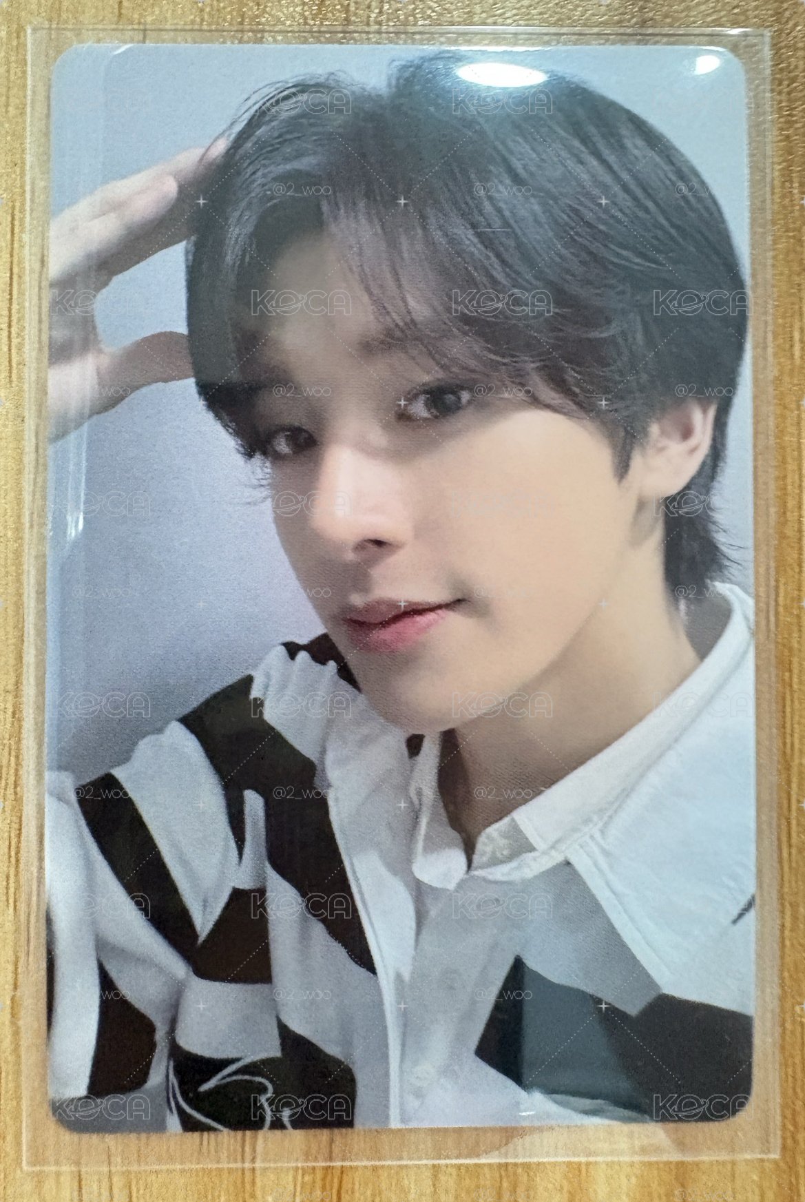 小狗乖乖 語音