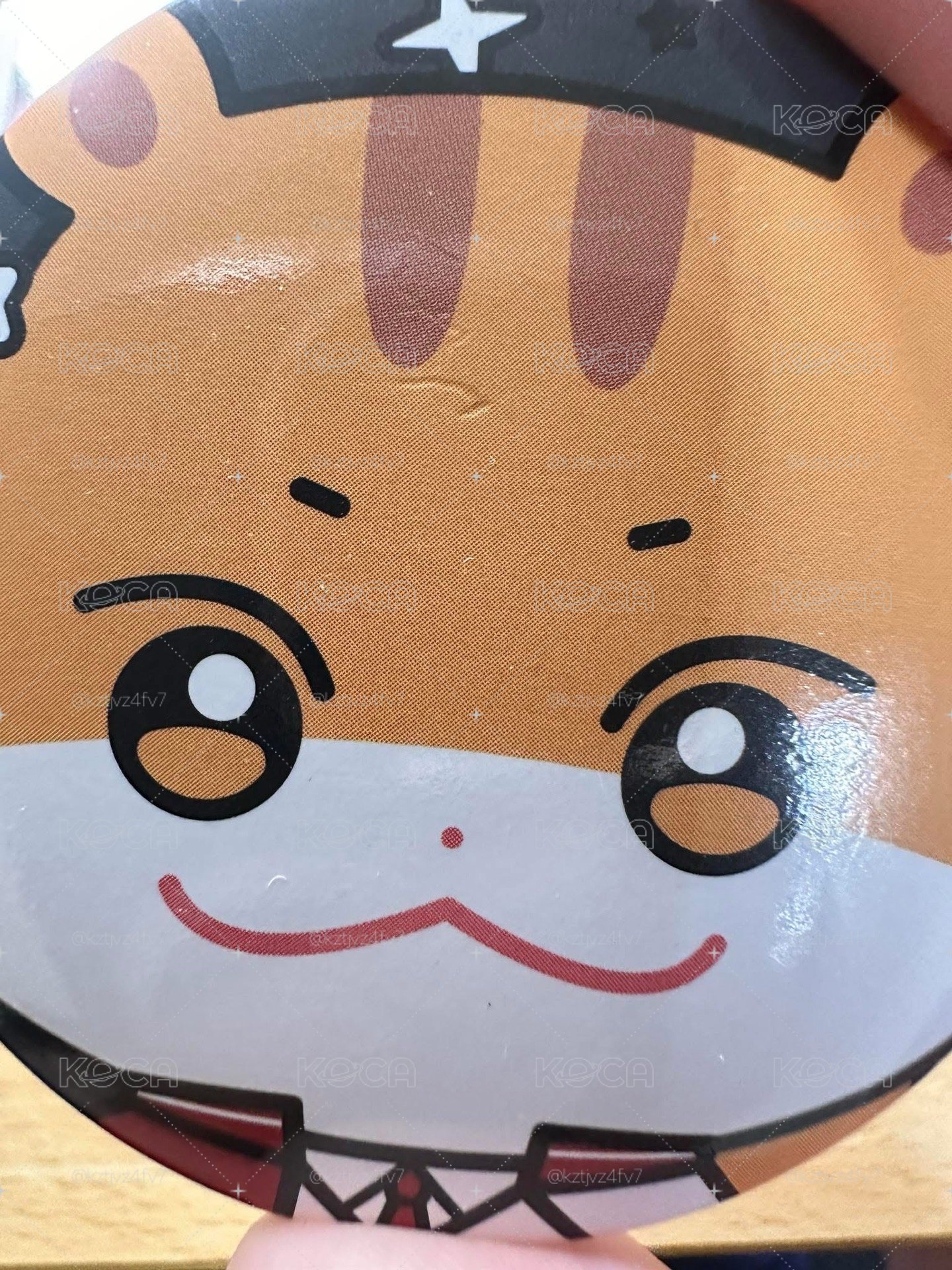 鼠鼠整圖