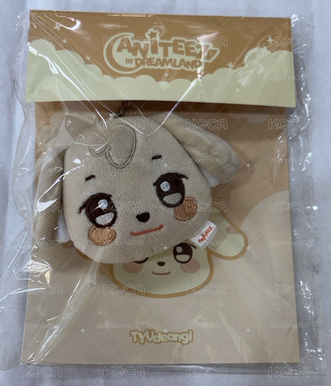 Aniteez娃類