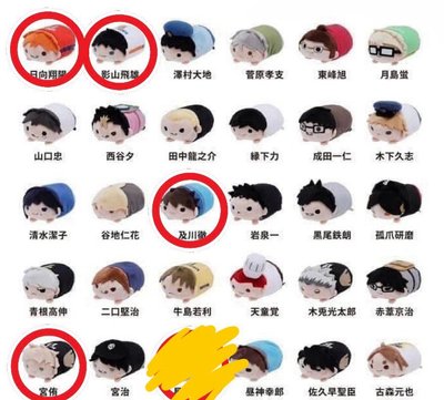 【排球少年】十週年趴娃（僅餘日向）