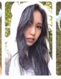 白熊南直出