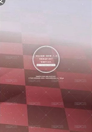 48P