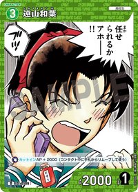 TCG D02 D 卡牌遊戲 