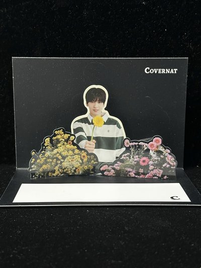 Covernat  TXT 秀彬立體跳卡