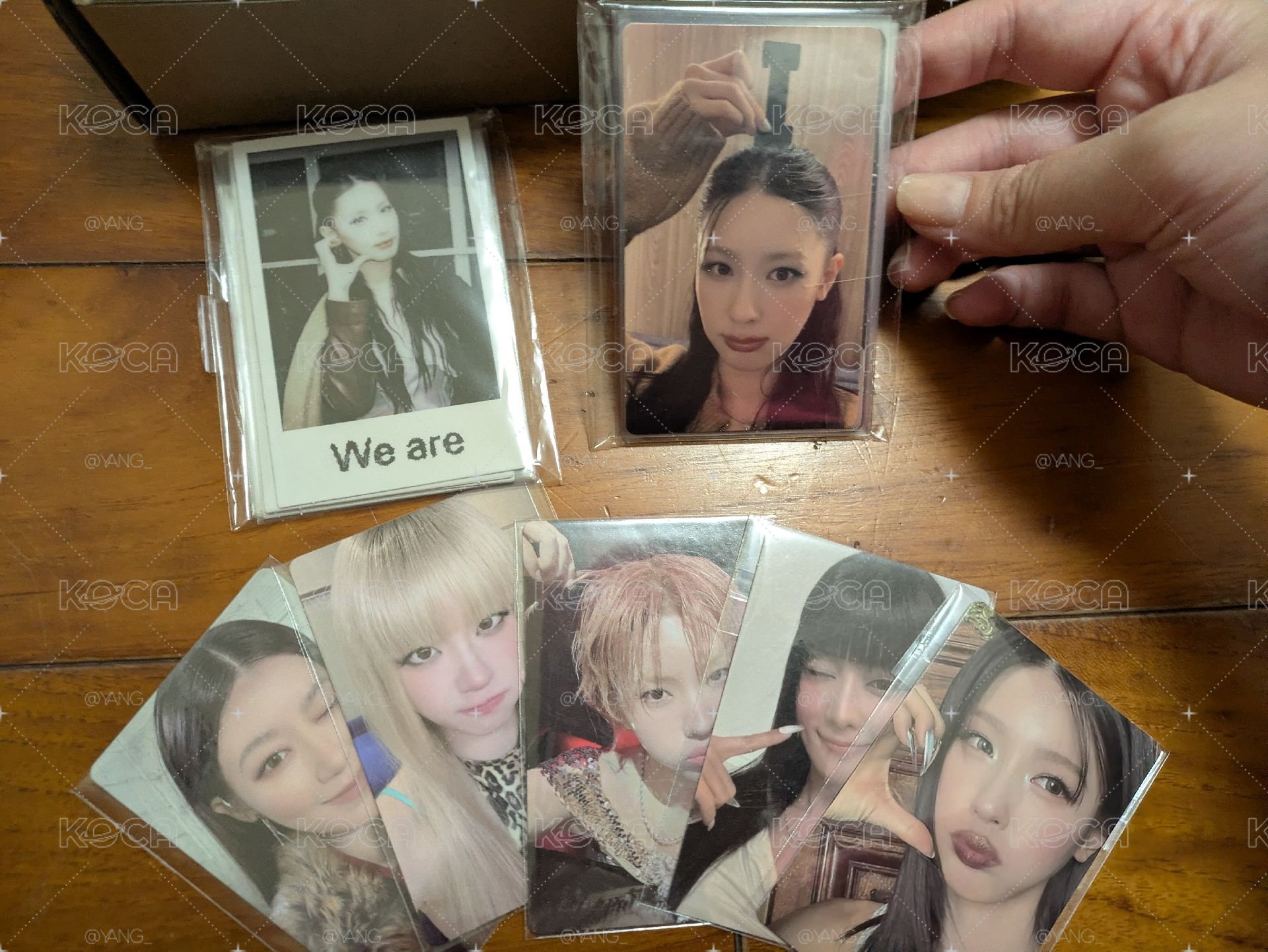 WVS 迷八 早鳥預售簽售卡
