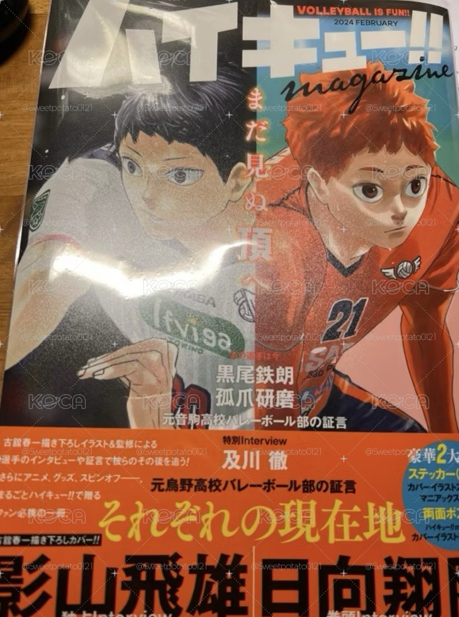 排少magazine 日版+木兔立牌