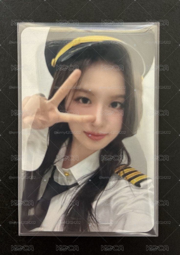 🐬機長薛