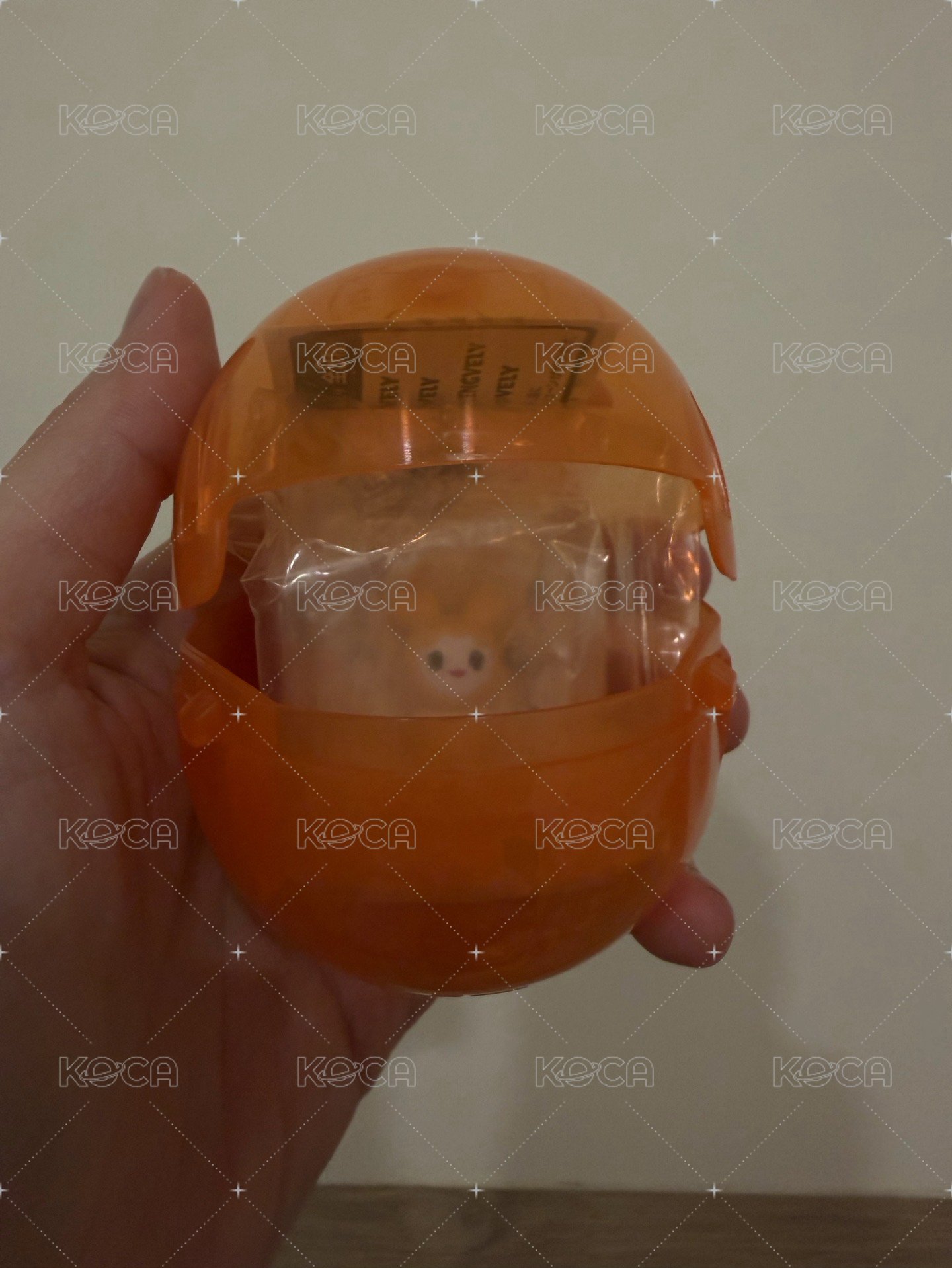 志效模型扭蛋