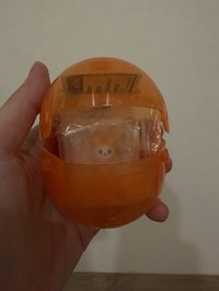 志效模型扭蛋