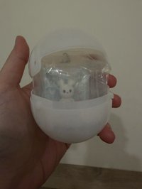 多賢模型扭蛋